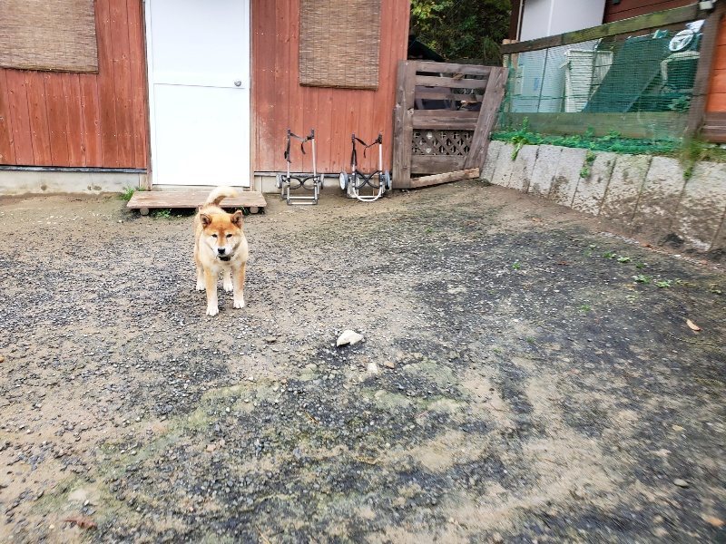 f:id:roukenhome-ann:20191114143002j:plain