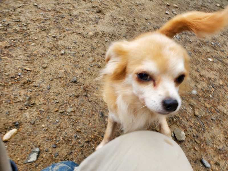 f:id:roukenhome-ann:20191114143352j:plain