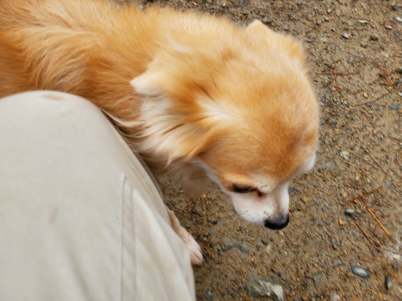 f:id:roukenhome-ann:20191114143421j:plain