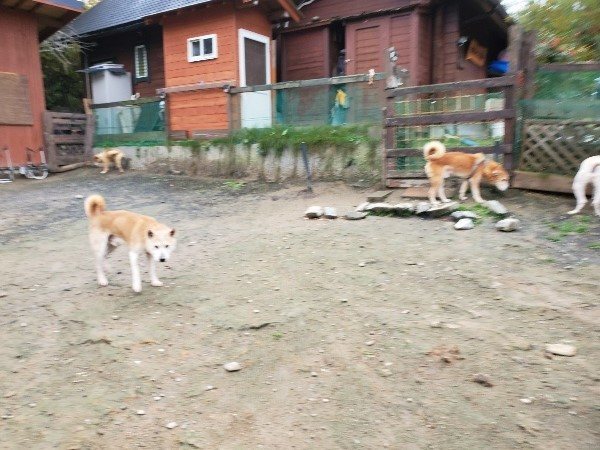 f:id:roukenhome-ann:20191114143444j:plain