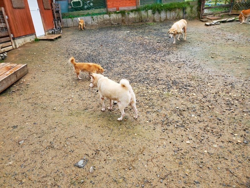f:id:roukenhome-ann:20191114143735j:plain