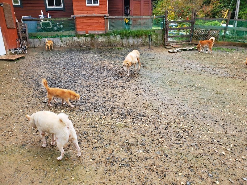 f:id:roukenhome-ann:20191114143805j:plain
