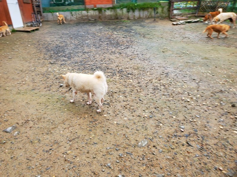 f:id:roukenhome-ann:20191114143908j:plain