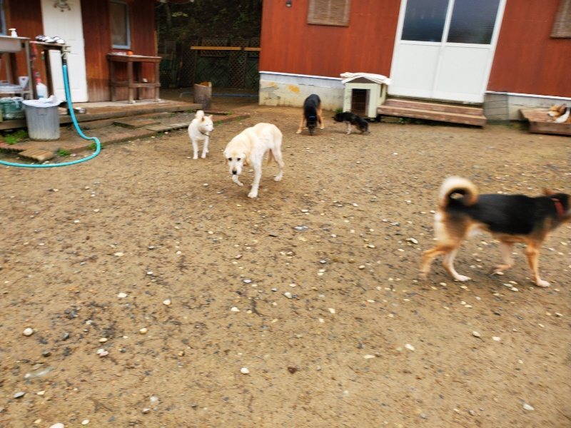 f:id:roukenhome-ann:20191114143951j:plain