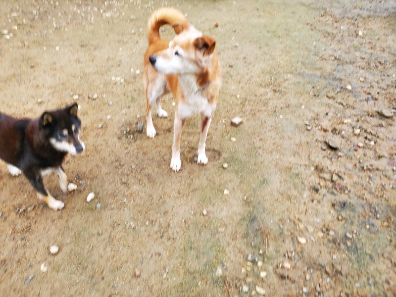 f:id:roukenhome-ann:20191114144133j:plain