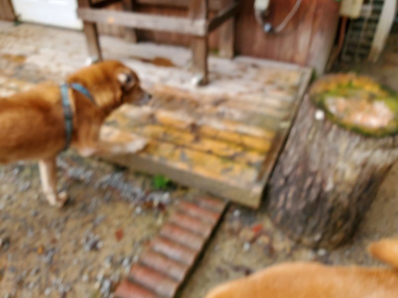 f:id:roukenhome-ann:20191114150058j:plain