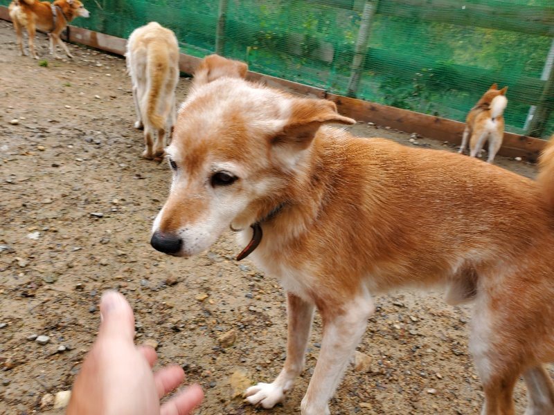 f:id:roukenhome-ann:20191114150125j:plain