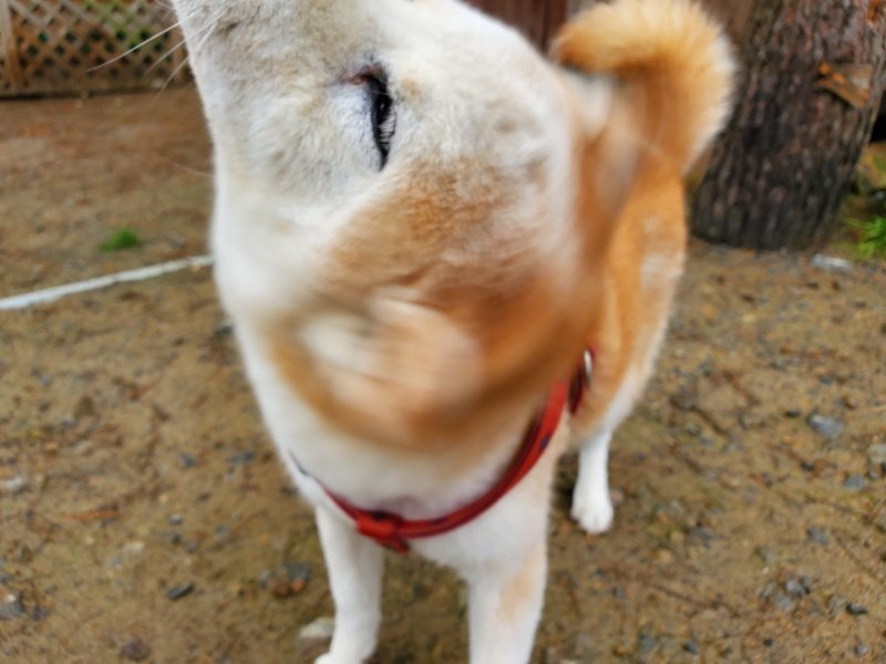 f:id:roukenhome-ann:20191114150209j:plain
