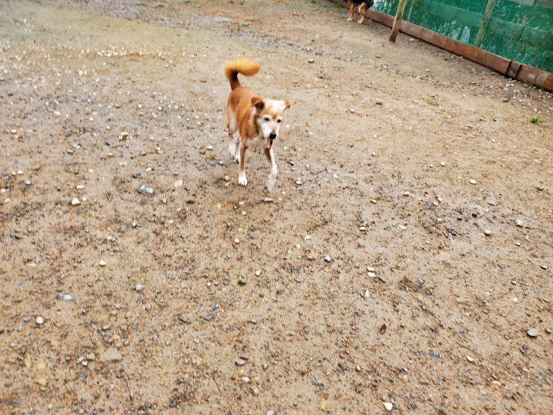 f:id:roukenhome-ann:20191114150320j:plain