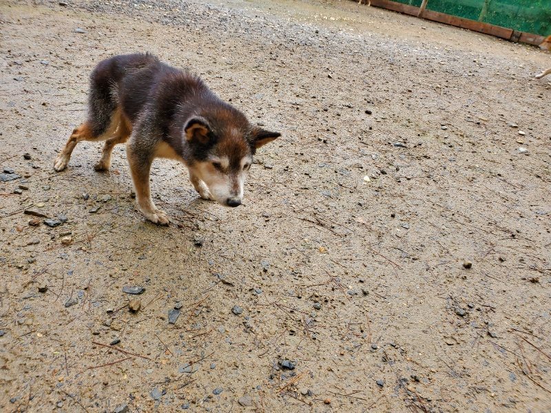f:id:roukenhome-ann:20191114150327j:plain