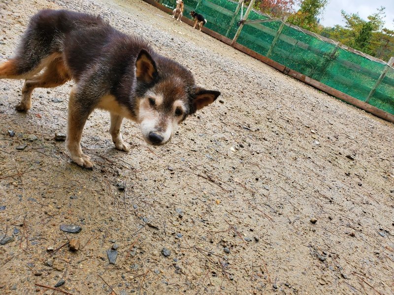 f:id:roukenhome-ann:20191114150353j:plain