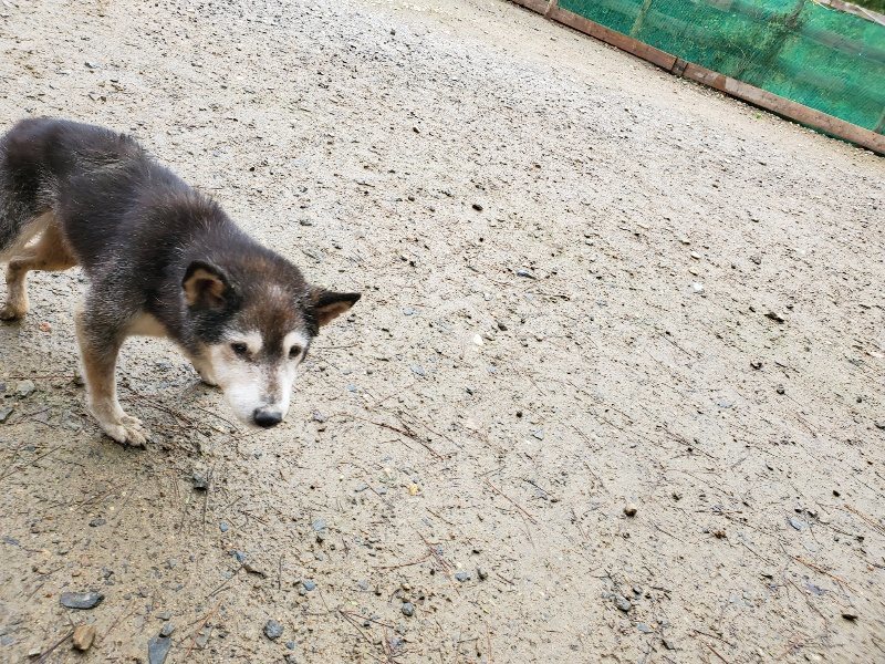 f:id:roukenhome-ann:20191114150409j:plain