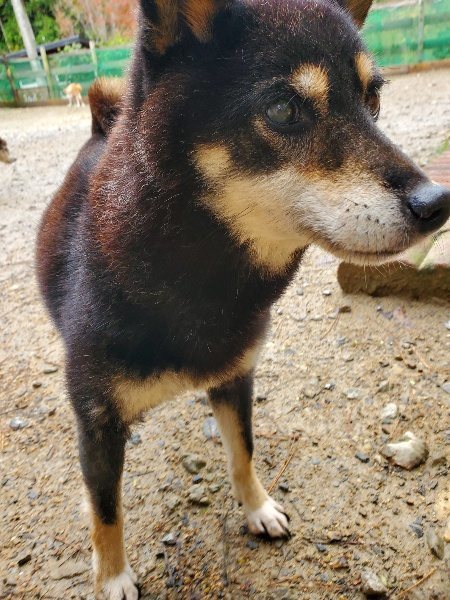 f:id:roukenhome-ann:20191114150727j:plain