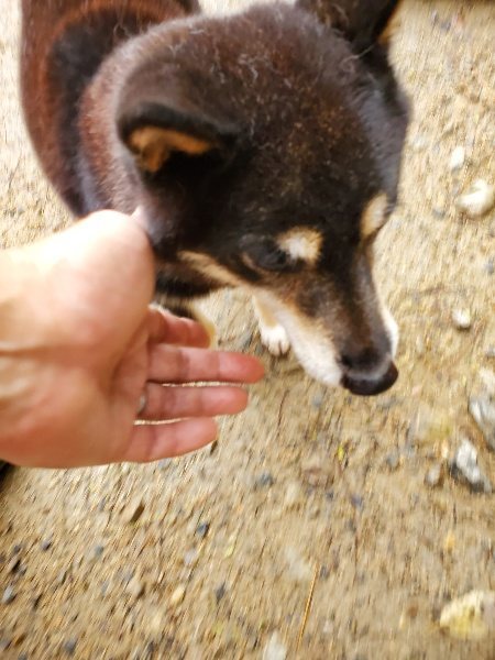 f:id:roukenhome-ann:20191114150737j:plain