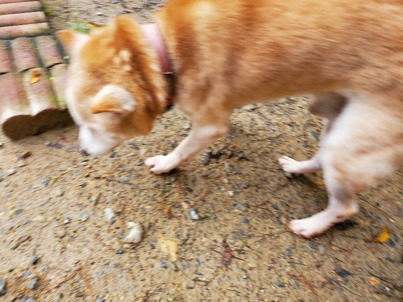 f:id:roukenhome-ann:20191114150823j:plain