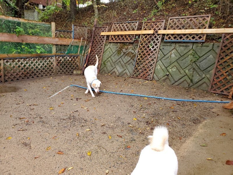 f:id:roukenhome-ann:20191114150834j:plain