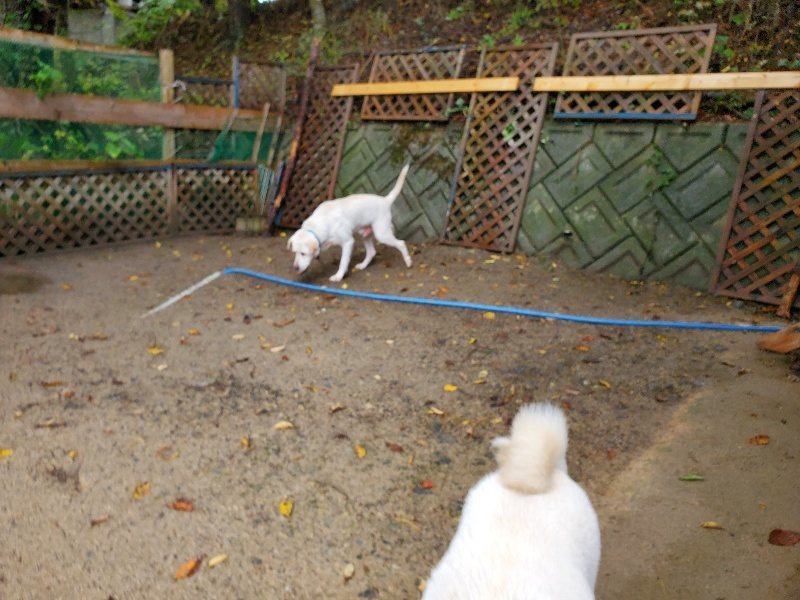 f:id:roukenhome-ann:20191114150840j:plain