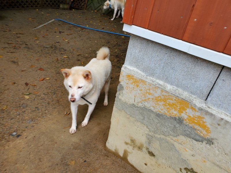 f:id:roukenhome-ann:20191114150910j:plain