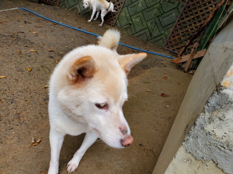 f:id:roukenhome-ann:20191114150921j:plain