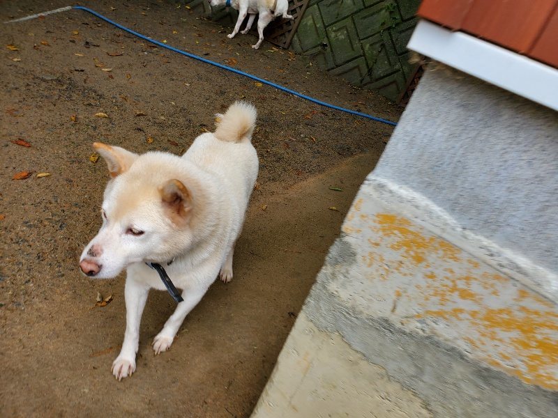 f:id:roukenhome-ann:20191114150932j:plain