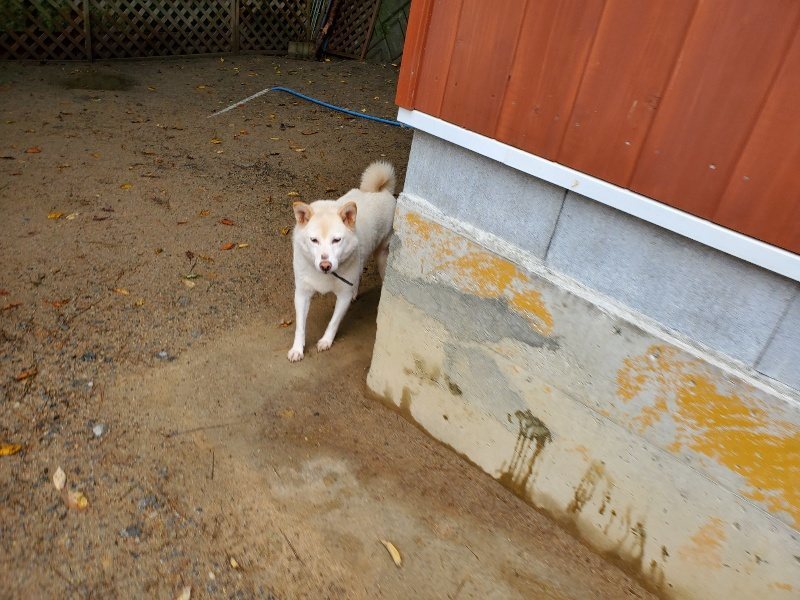 f:id:roukenhome-ann:20191114150939j:plain