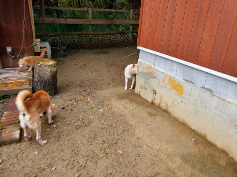 f:id:roukenhome-ann:20191114150944j:plain