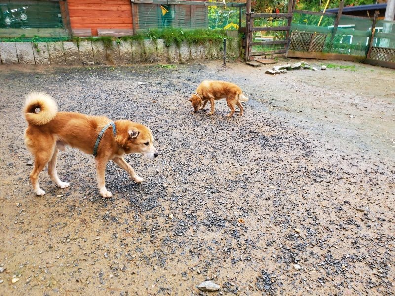 f:id:roukenhome-ann:20191114151016j:plain