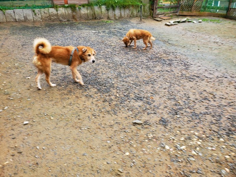f:id:roukenhome-ann:20191114151032j:plain