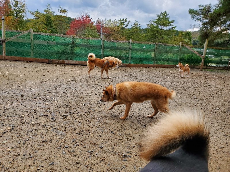 f:id:roukenhome-ann:20191114151110j:plain