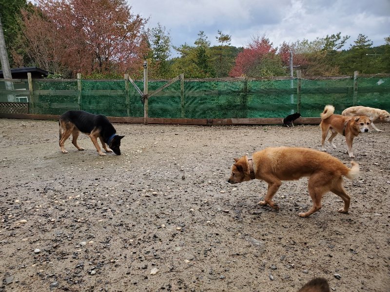 f:id:roukenhome-ann:20191114151118j:plain