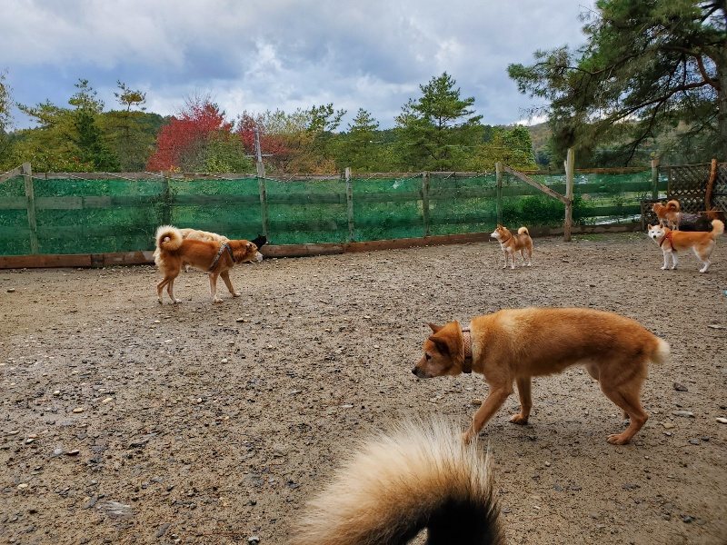 f:id:roukenhome-ann:20191114151124j:plain
