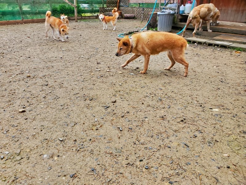 f:id:roukenhome-ann:20191114151146j:plain