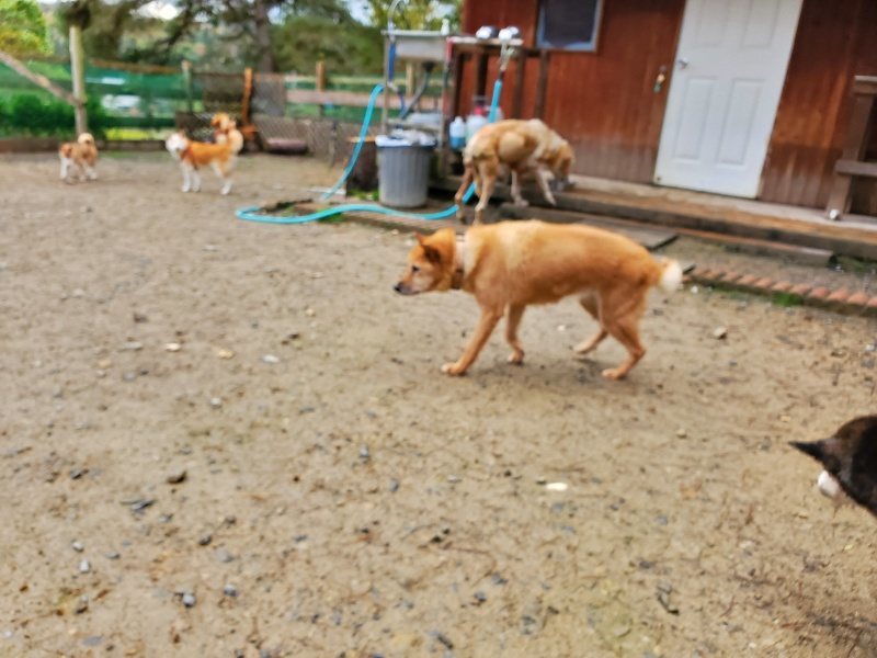 f:id:roukenhome-ann:20191114151200j:plain
