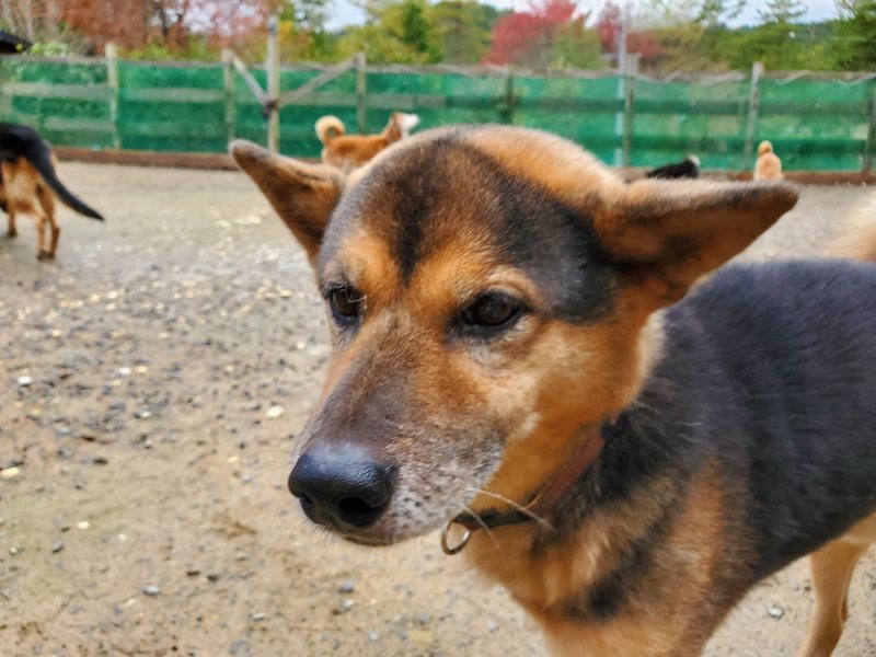 f:id:roukenhome-ann:20191114151221j:plain