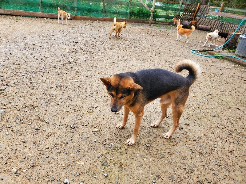 f:id:roukenhome-ann:20191114151303j:plain