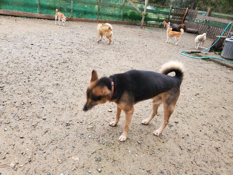 f:id:roukenhome-ann:20191114151314j:plain