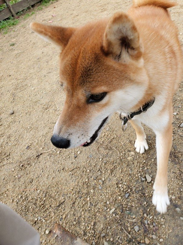 f:id:roukenhome-ann:20191114154223j:plain