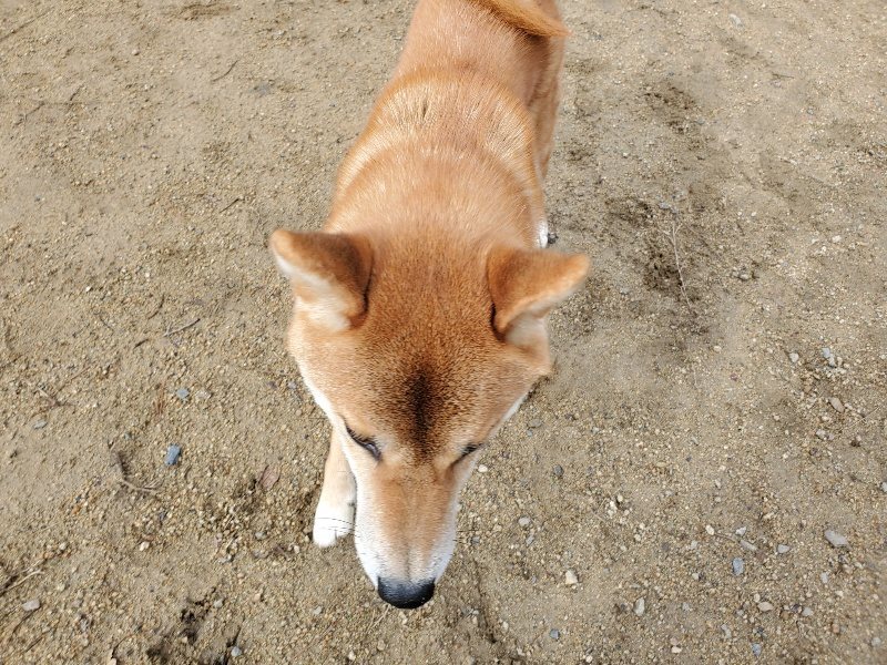 f:id:roukenhome-ann:20191114154238j:plain
