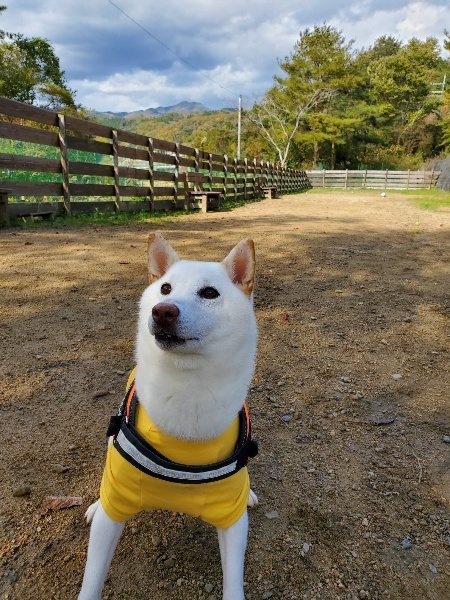 f:id:roukenhome-ann:20191114154315j:plain