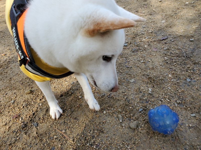 f:id:roukenhome-ann:20191114154359j:plain