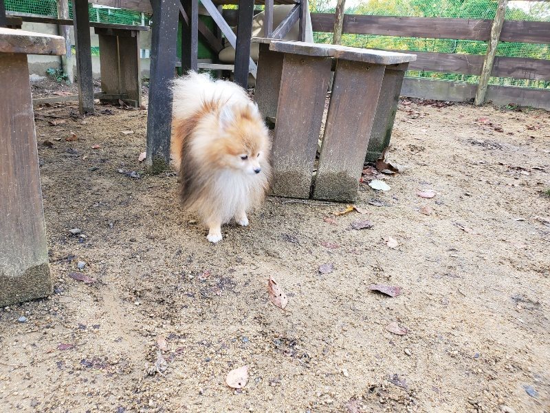 f:id:roukenhome-ann:20191114154430j:plain