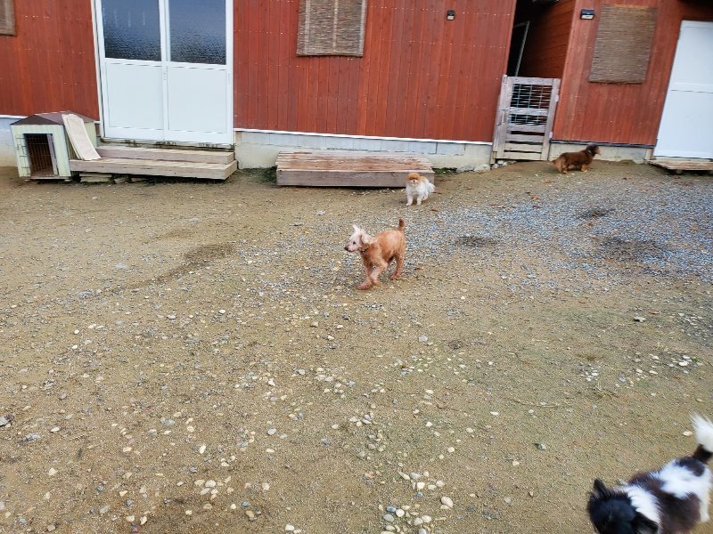 f:id:roukenhome-ann:20191118141421j:plain