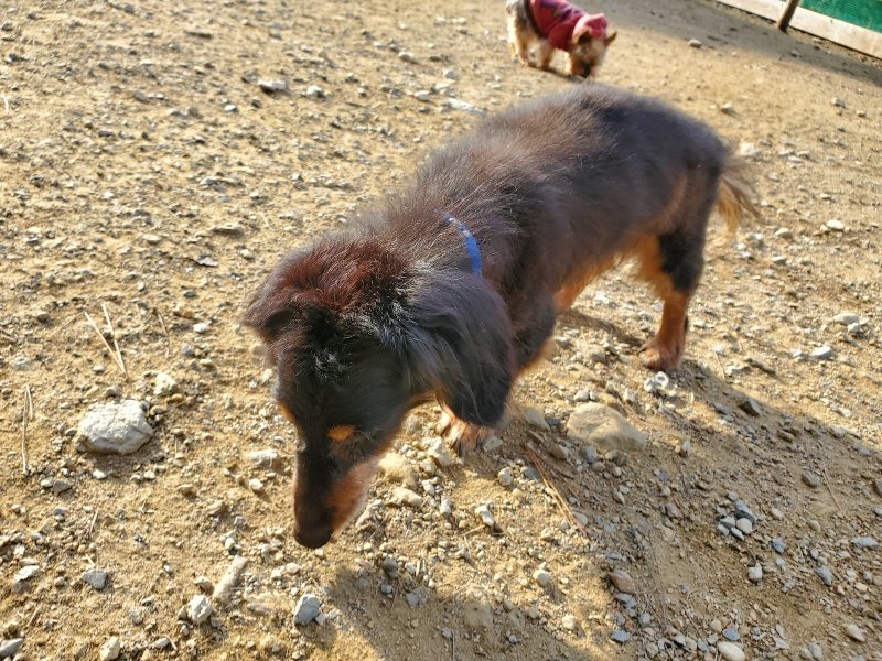 f:id:roukenhome-ann:20191118141557j:plain