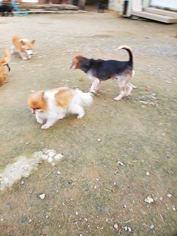 f:id:roukenhome-ann:20191118141842j:plain