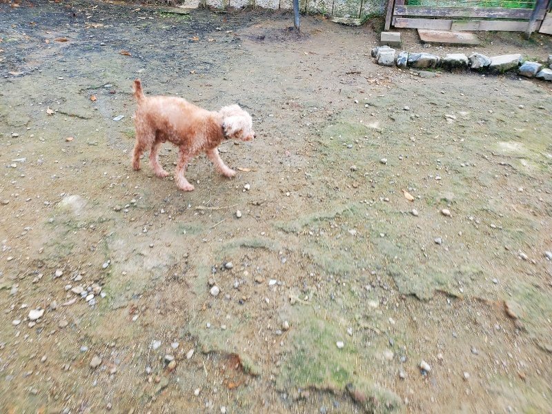 f:id:roukenhome-ann:20191118141850j:plain