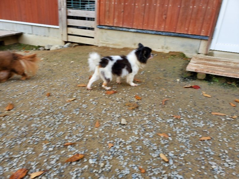 f:id:roukenhome-ann:20191118144810j:plain