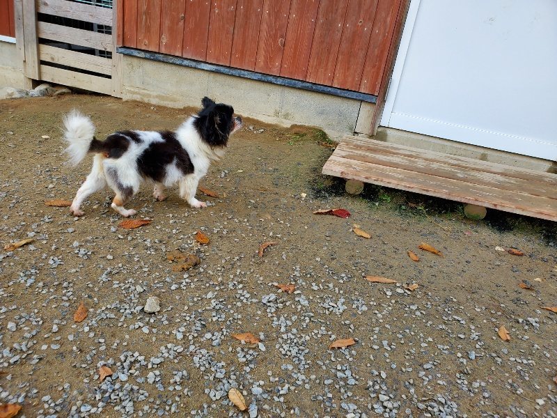 f:id:roukenhome-ann:20191118144828j:plain