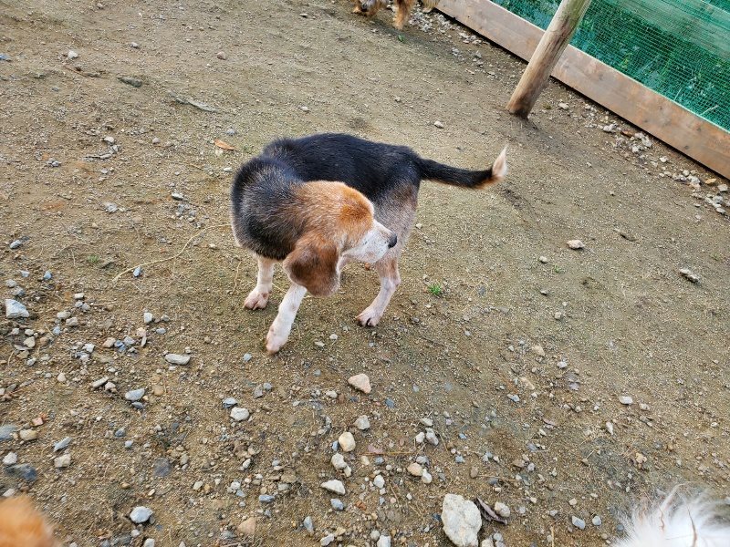 f:id:roukenhome-ann:20191118144901j:plain