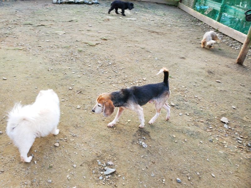 f:id:roukenhome-ann:20191118144913j:plain