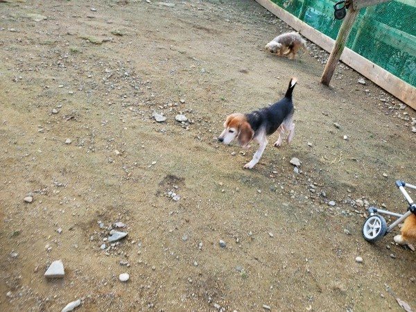 f:id:roukenhome-ann:20191118144937j:plain